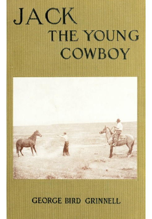 Jack the Young Cowboy: An Eastern Boy's Experience on a Western Round-up