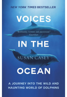 Voices in the Ocean: A Journey into the Wild and Haunting World of Dolphins