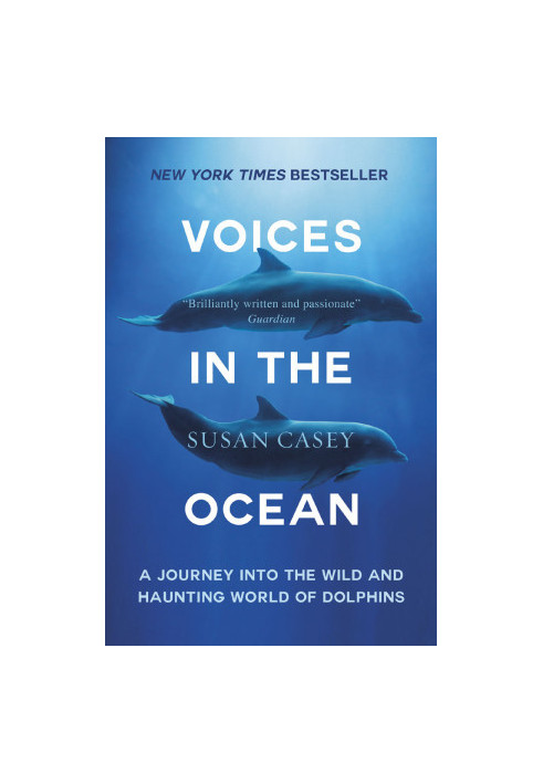Voices in the Ocean: A Journey into the Wild and Haunting World of Dolphins