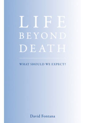 Life Beyond Death: What Should We Expect?
