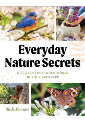 Everyday Nature Secrets : Discover the Hidden World in Your Backyard