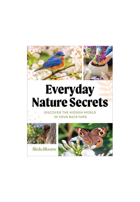 Everyday Nature Secrets : Discover the Hidden World in Your Backyard