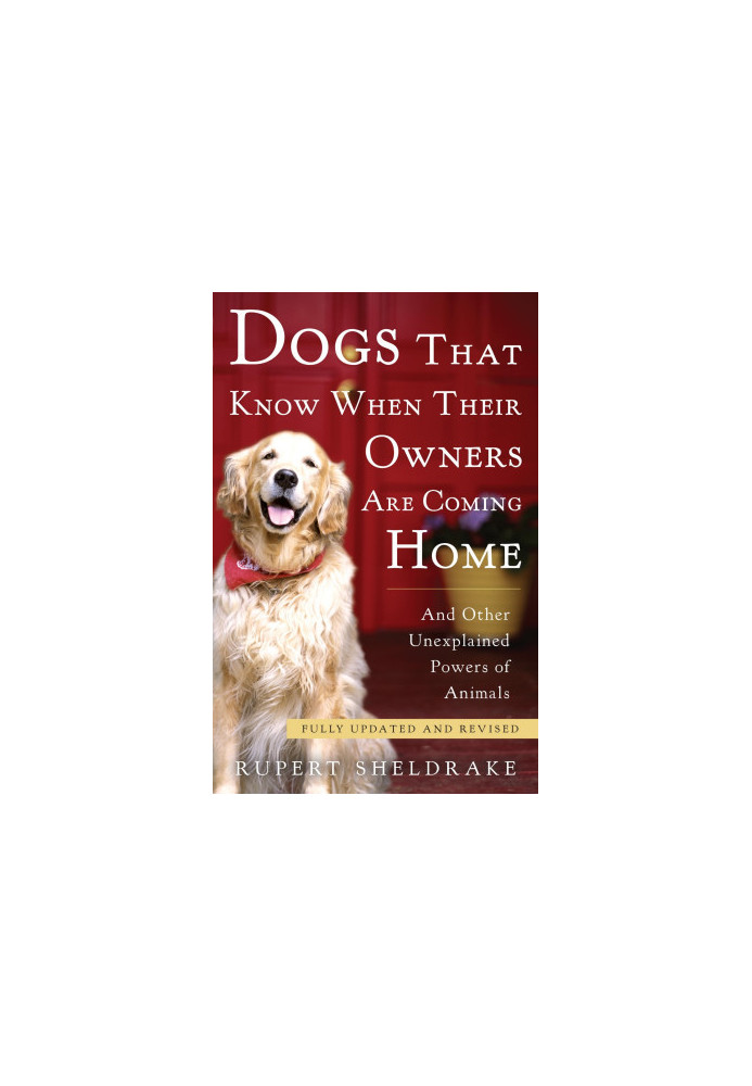 Dogs That Know When Their Owners Are Coming Home