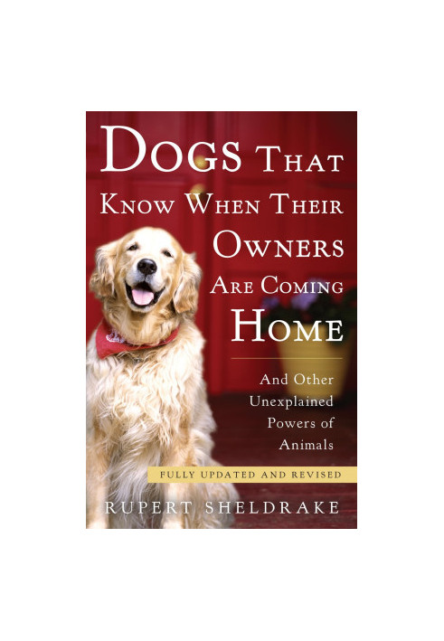 Dogs That Know When Their Owners Are Coming Home