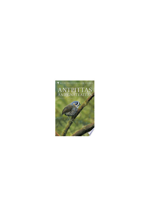 Antpittas and Gnateaters