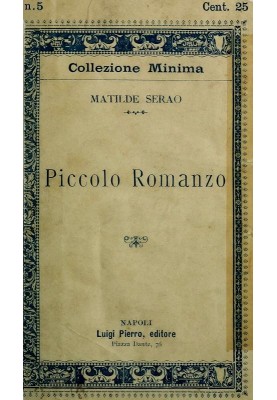 Small novel