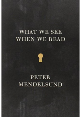 What we see when we read : a phenomenology  with illustrations