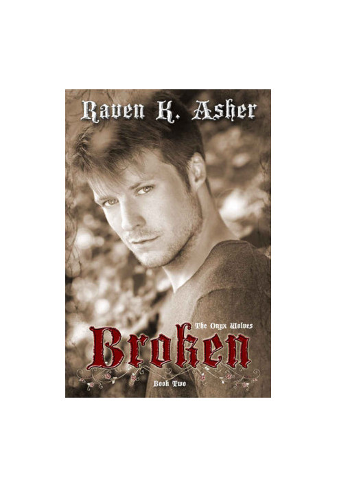 [The Onyx Wolves 02] • Broken
