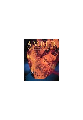 Amber : Window to the Past