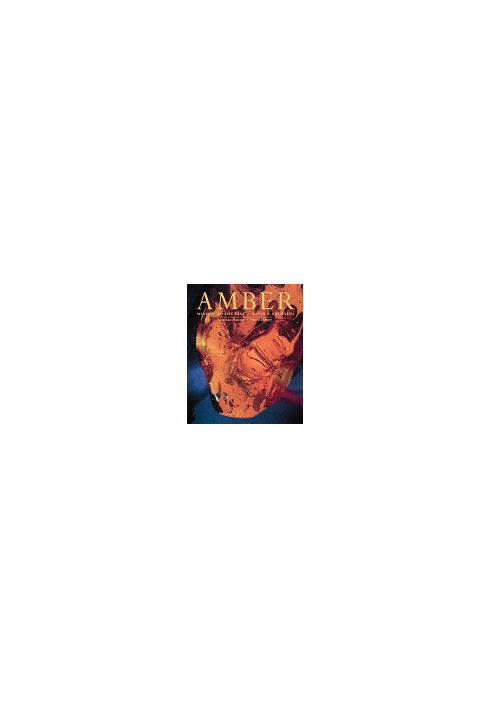 Amber : Window to the Past