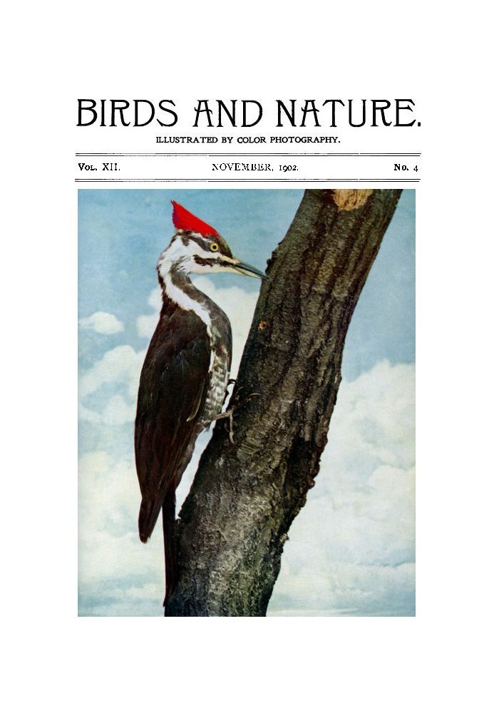 Birds and Nature, Vol. 12 No. 4 [September 1902] Illustrated by Color Photography