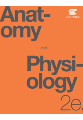 Anatomy and Physiology, 2nd Edition