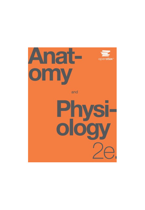 Anatomy and Physiology, 2nd Edition