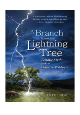 A branch from the lightning tree: ecstatic myth and the grace in wildness