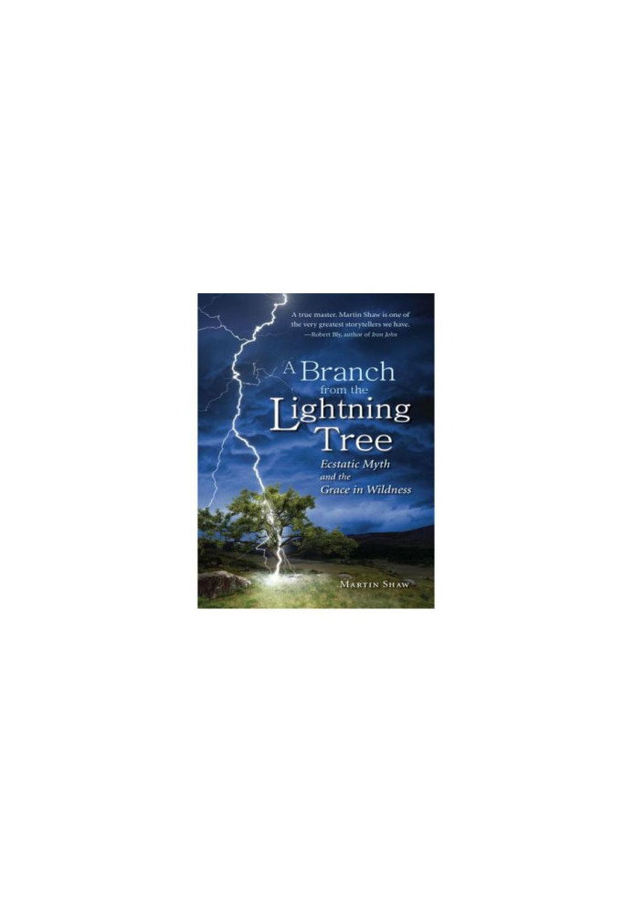 A branch from the lightning tree: ecstatic myth and the grace in wildness
