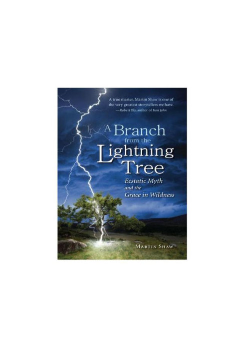 A branch from the lightning tree: ecstatic myth and the grace in wildness