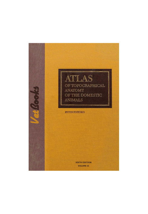 Atlas of Topographical Anatomy of the Domestic Animals, Volume II, Trunk, 6th Edition