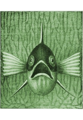 native fish; The freshwater fish of our homeland