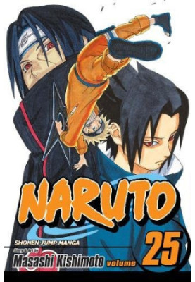 Naruto, Vol. 25: Brothers