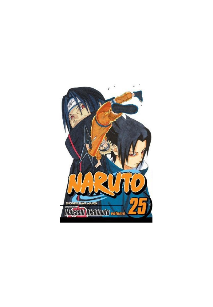 Naruto, Vol. 25: Brothers