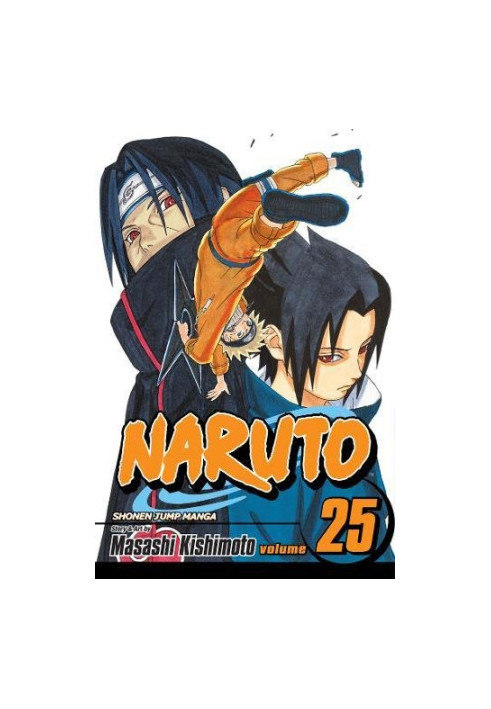 Naruto, Vol. 25: Brothers
