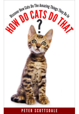 How Do Cats Do That? (How & Why Do Cats Do That? 1)