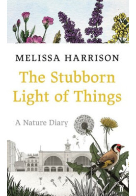 The Stubborn Light of Things