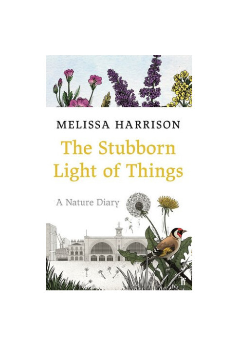 The Stubborn Light of Things