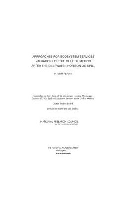 Approaches for Ecosystem Services Valuation for the Gulf of Mexico after the Deepwater Horizon Oil Spill : Interim Report