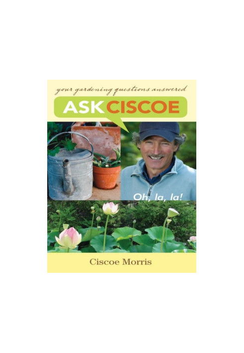 Ask Ciscoe
