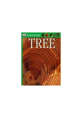 Tree (DK Eyewitness)