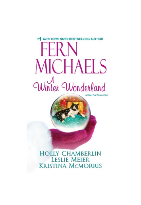 A Winter Wonderland (Lucy Stone Mystery 18.5)