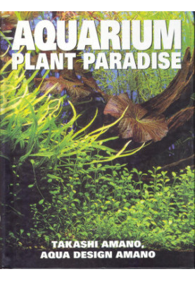 Aquarium plant paradise