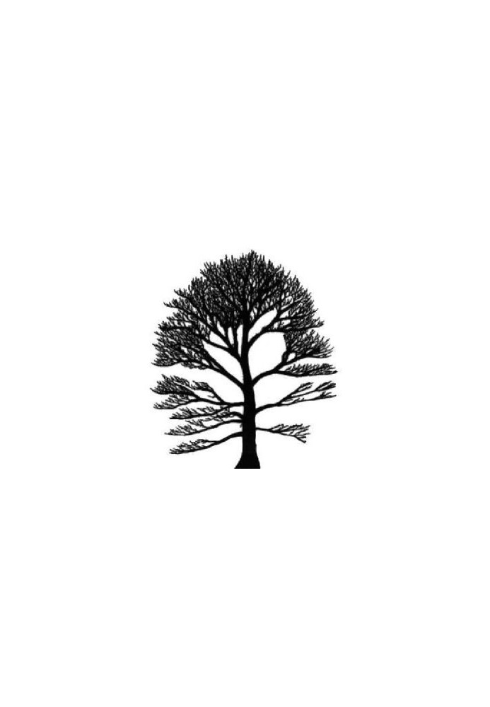 Tree automata techniques and applications