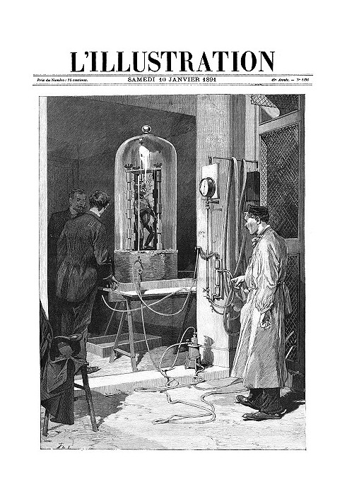 L'Illustration, No. 2498, January 10, 1891