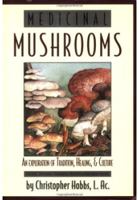 Medicinal mushrooms: an exploration of tradition, healing & culture
