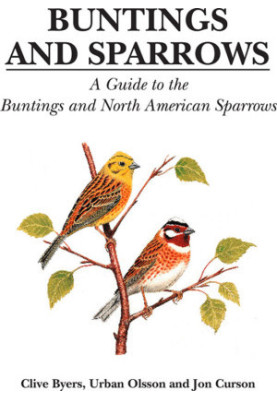 Buntings and Sparrows
