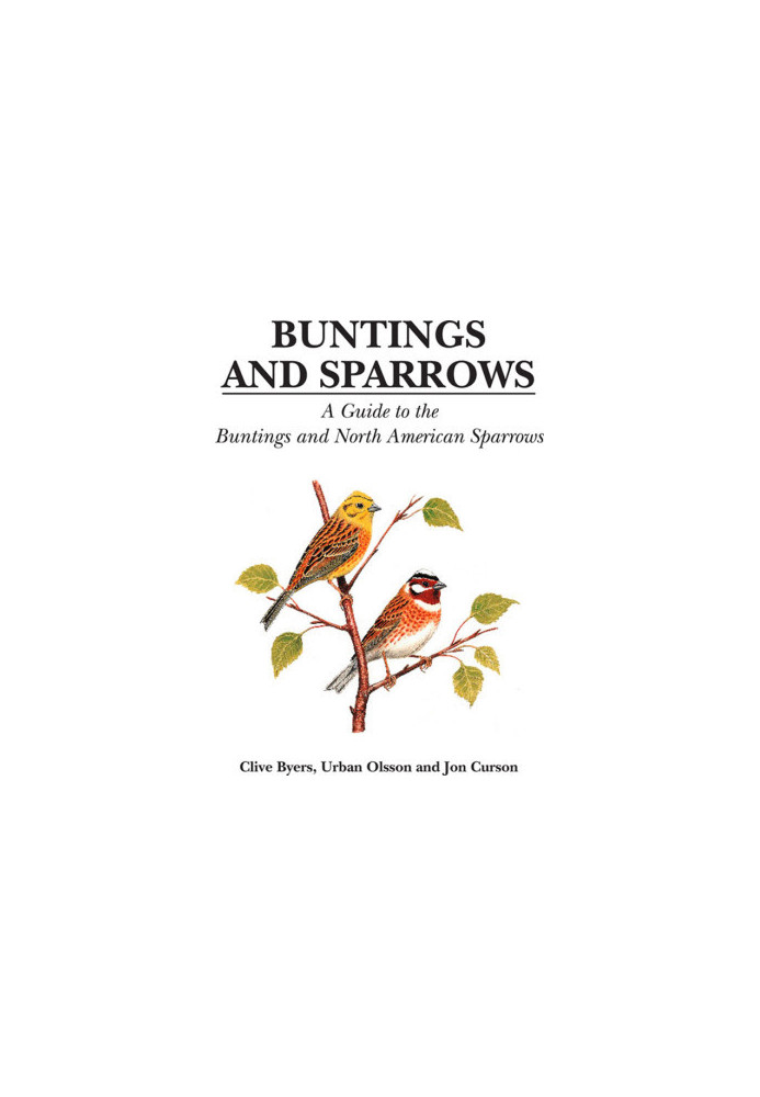 Buntings and Sparrows
