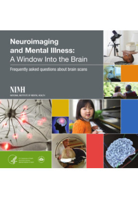 Neuroimaging and Mental Illness: A Window Into the Brain