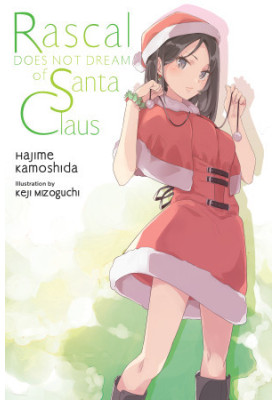 Rascal Does Not Dream of Santa Claus (light novel)