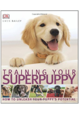 Training Your Superpuppy