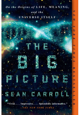 The Big Picture