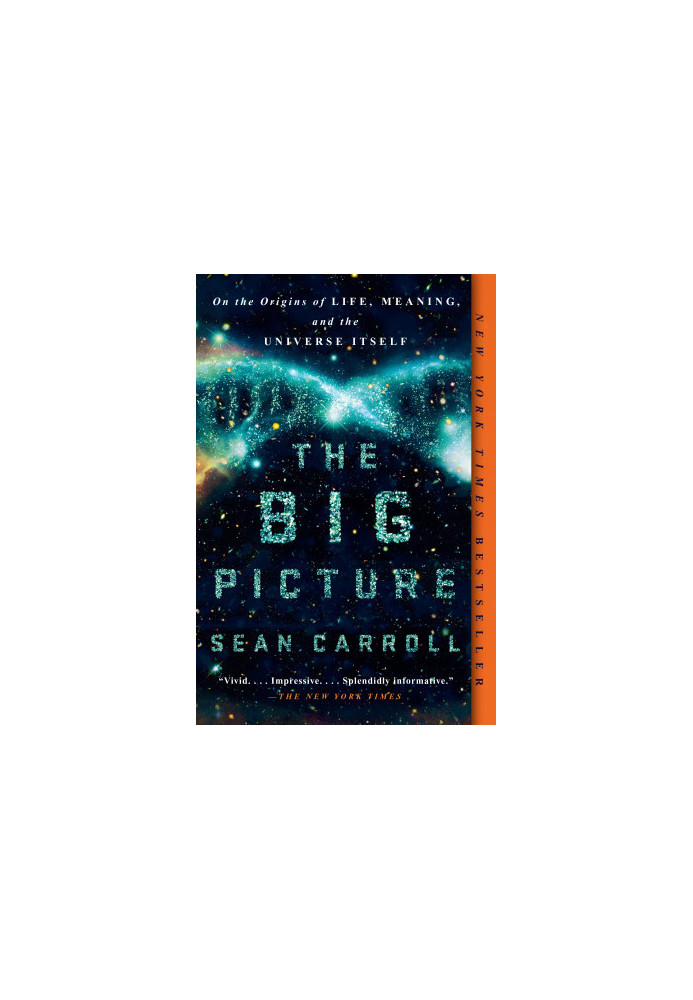 The Big Picture