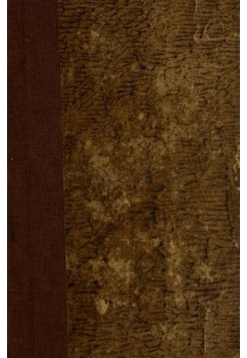 Les Tourelles: History of the castles of France, volume I