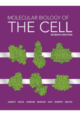 Molecular Biology of the Cell: Seventh Edition
