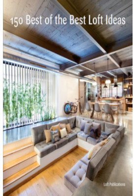150 Best of the Best Loft Ideas