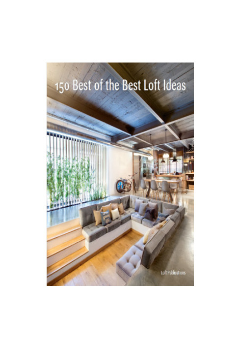 150 Best of the Best Loft Ideas