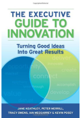 The executive guide to innovation : turning good ideas into great results
