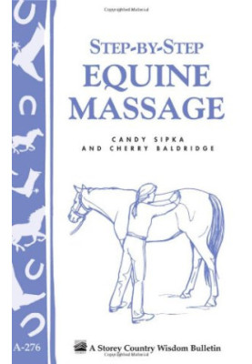 Step-by-Step Equine Massage