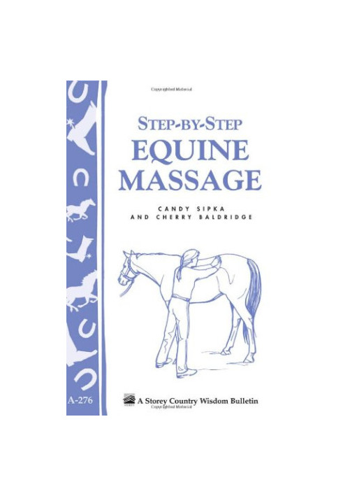 Step-by-Step Equine Massage